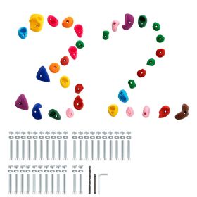 VEVOR 32 Rock Climbing Holds, Multi-Size and Multi-Colored Climbing Rocks for Kids and Adults, Rock Wall Holds with Mounting Hardware, Climbing Wall G